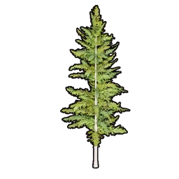 모형 나무 C