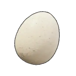 Egg