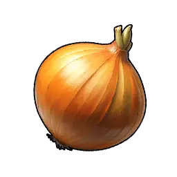 Onion