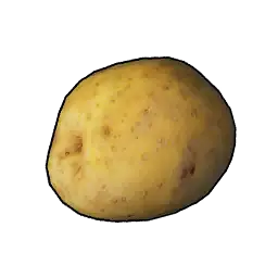 Potato