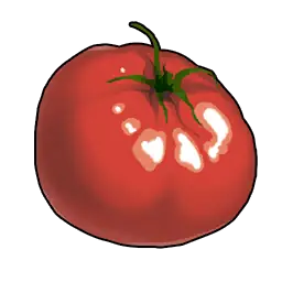 Tomato