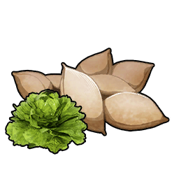 LettuceSeeds